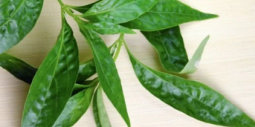 3 Resep Obat Batuk Herbal untuk Gejala COVID-19