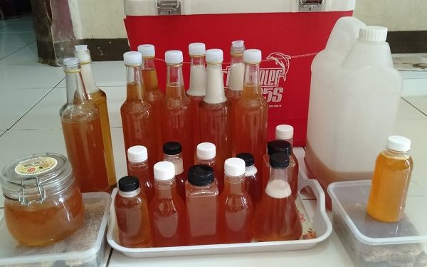Madu Apis Cerena Mampu Tingkatkan Stamina di Masa Pandemi Covid-19
