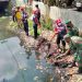 PMI Kabupaten Cirebon Bergerak Bersihkan Sungai Cikenanga