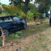 Minibus Tabrak Pohon 1 Tewas 3 Luka Berat
