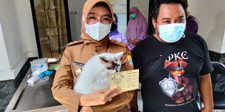 Cegah Rabies Hewan Peliharaan, Distan Gelar Penyuntikan Massal