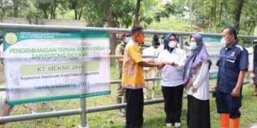 Kota Cirebon Terima Bantuan 40 Ekor Bibit Sapi