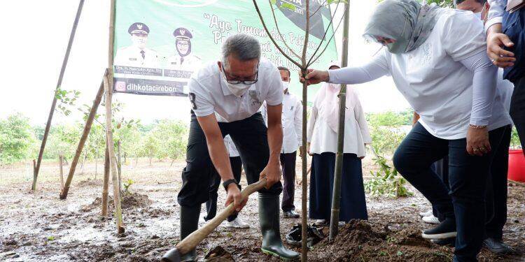 Kejar RTH, Pemkot Cirebon Tanam 5000 Pohon