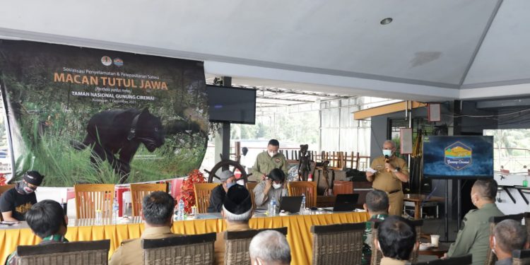 Penyelamatan dan Pelepasliaran Macan Tutul Disosialisasikan