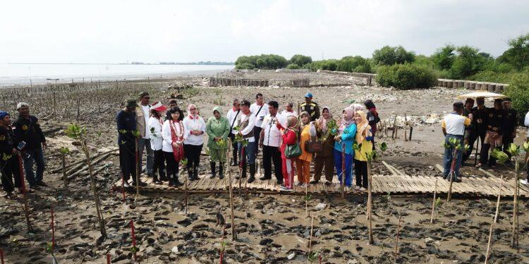Tanah Timbul Harus Segera Dibuat Perda