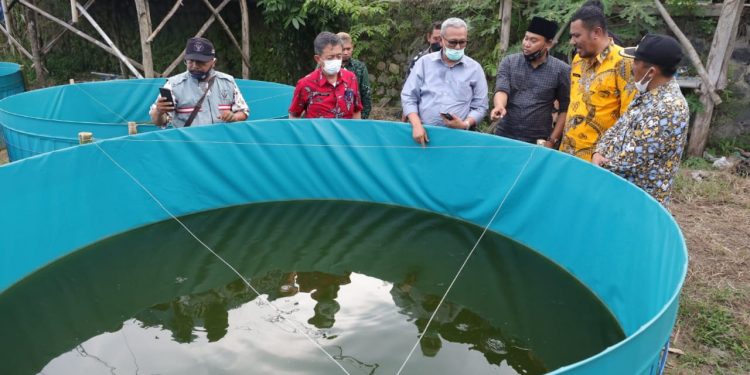 199 RTP Desa Mekarjaya Dapat Bantuan Peternakan Perikanan