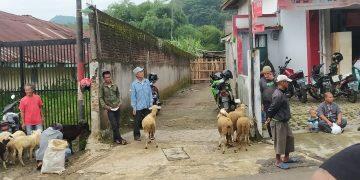 Terpaksa Pedagang Kambing Berjualan di Bahu Jalan Awirarangan