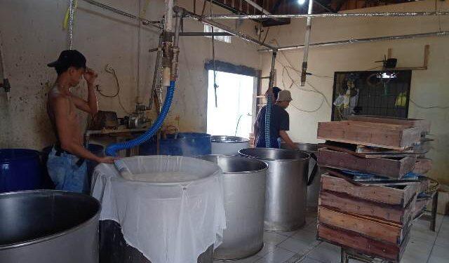 Produsen Tahu Terpaksa Naikkan Harga