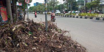 Sudah Seminggu Sampah Tebangan Pohon Belum Diangkut