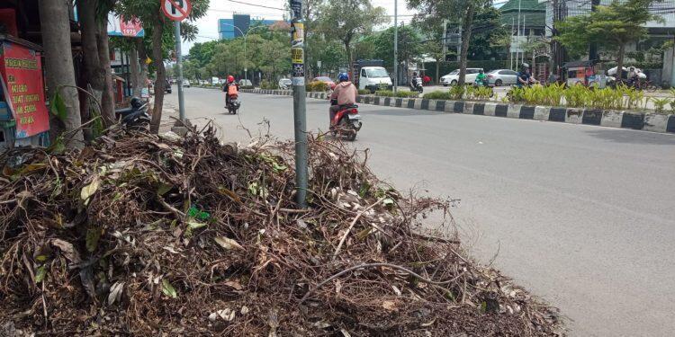 Sudah Seminggu Sampah Tebangan Pohon Belum Diangkut