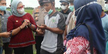 Jual Pupuk Subsidi Diatas HET, Laporkan!