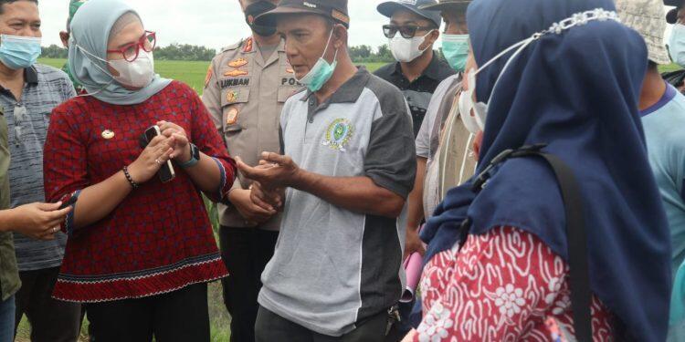 Jual Pupuk Subsidi Diatas HET, Laporkan!