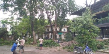 Berikan Rasa Aman, BPTAGS Pangkas Pohon