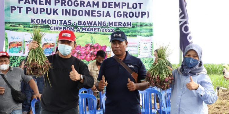 Pupuk Indonesia Selamatkan Petani Bawang dari Penyakit Inul