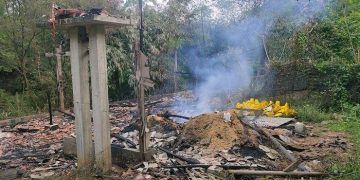 Alat Pemanas Rusak, Ribuan Ekor Ayam Mati Terpanggang