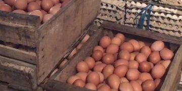 Harga Telur Ayam di Majalengka Meroket