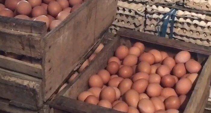 Harga Telur Ayam di Majalengka Meroket
