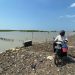 Ratusan Hektare Lahan Garam Terendam Rob, Petambak Garam Tagih Janji KSP
