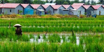 Pemkab Cirebon Dinilai Lamban Tetapkan Lahan Sawah Dilindungi
