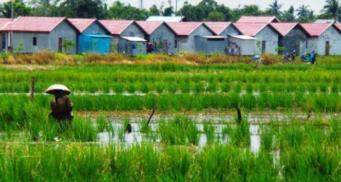 Pemkab Cirebon Dinilai Lamban Tetapkan Lahan Sawah Dilindungi