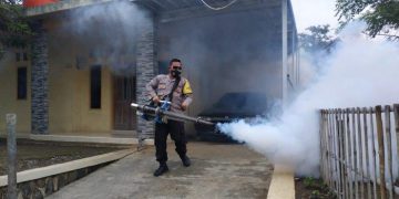 Dinkes Majalengka Mewaspadai Ancaman Nyamuk Aedes Aegypti