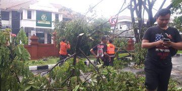 Cuaca Ekstrem, BPBD Imbau Masyarakat untuk Lebih Waspada