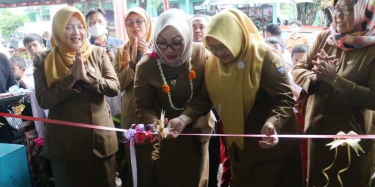 SD Negeri Kayuwalang Miliki Bank Sampah
