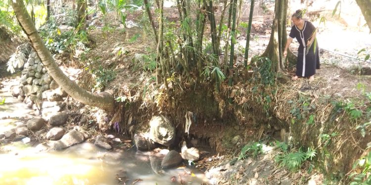 Pengikisan Tebing Sungai Kanci Terkikis, Dikhawatirkan Meluas