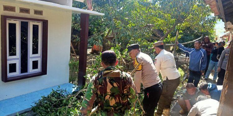 Angin Kencang Picu Kebakaran dan Pohon Tumbang