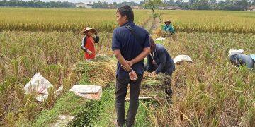 Bupati Majalengka Sebut Petani Pahlawan Kekuatan Ekonomi