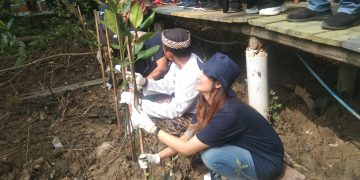 Pemdes Mundupesisir Lakukan Penyulaman Mangrove