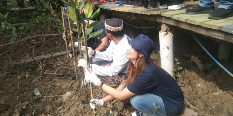 Pemdes Mundupesisir Lakukan Penyulaman Mangrove