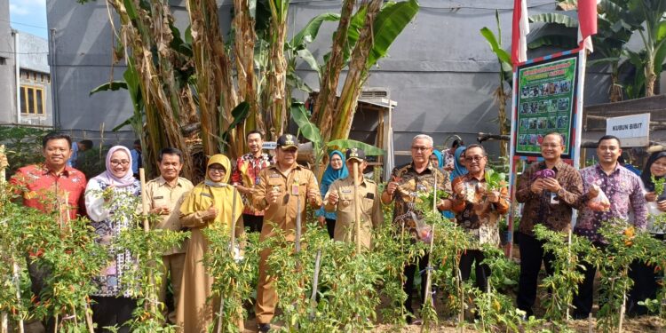 Terima Kunjungan TPID Ciayumajakuning, KWT di Kota Mataram Berbagi Konsep Ketahanan Pangan Berkelanjutan