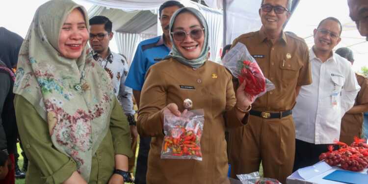 GPM Hadirkan Harga Pangan Dibawah Pasaran