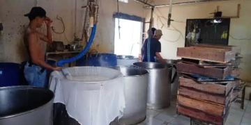 Pabrik Tahu Tak Kurangi Pembelian Bahan Baku
