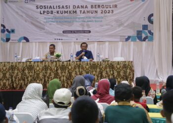 Hero Minta LPDB Pantau Langsung Kondisi UMKM