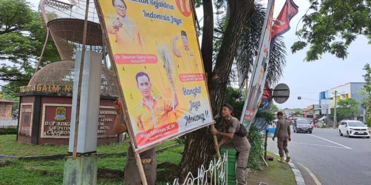 Ratusan APK Melanggar Ditertibkan
