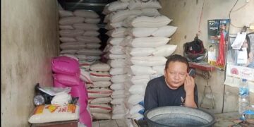 Masa Panen Tidak Merata Bikin Harga Beras Naik