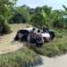 Mobil Pengurus IPNU Plered Terseret Arus Sungai Jurang Jero