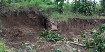Tanggul Cisanggarung Jebol, Warga Jatiseeng Kidul Dihantui Banjir Bandang