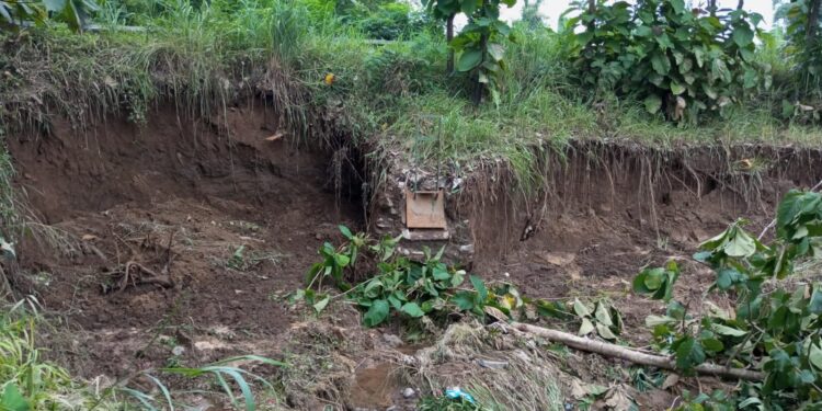 Tanggul Cisanggarung Jebol, Warga Jatiseeng Kidul Dihantui Banjir Bandang