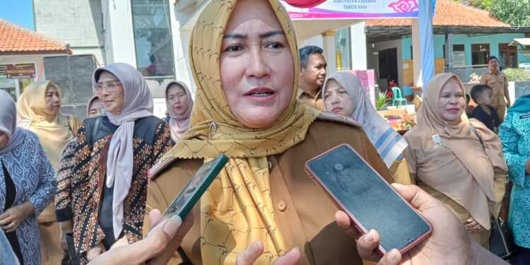 Papan Reklame yang Roboh Bukan Milik DPPKBP3A
