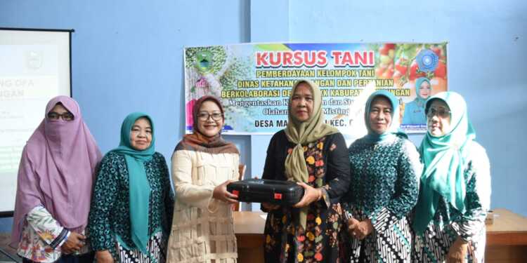 Misting Opa Jadi Program Andalan Entaskan Kemiskinan dan Stunting