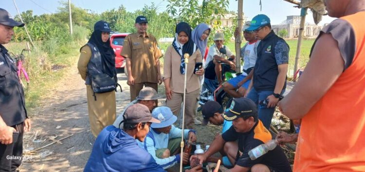 Ratusan Hektar Sawah di Kertajati Terserang Hama Penggerek Batang