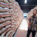 Serapan Beras Bulog Cirebon Sudah Lampaui Target