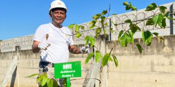 Tanam Pohon Produktif dan Langka di Hari Lingkungan Hidup Sedunia 2024