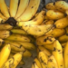 Pisang Apuy dan Bawang Putih Nunuk Resmi Jadi Varietas Lokal Majalengka