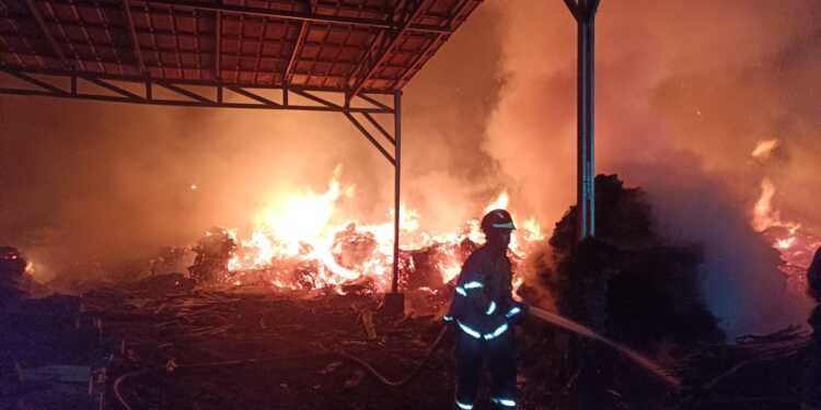 Limbah Olahan Kayu Bahan Baku Triplek di Gantar Terbakar
