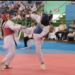 800 Taekwondoin Ramaikan Kejuaraan Cirebon Open 3