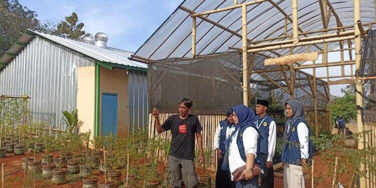 KKN Mahasiswa UNU di Belawa Sulap Buah Mangga Jadi Cemilan
